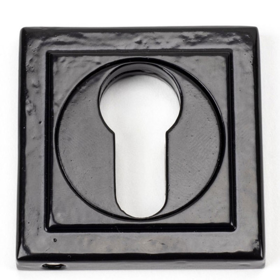Traditional Blacksmith Square Euro Escutcheon