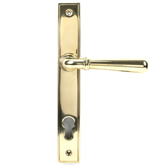 Newbury Slimline Sprung Lever Espagnolette - Polished Brass