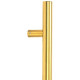T Bar Handle with Bolt Fixings - Aged Brass
