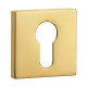 Euro Square Escutcheon