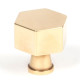 Aged Brass Kahlo Cabinet Knob