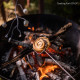 Kadai Toasting Fork