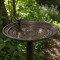 Majestic Bird Bath