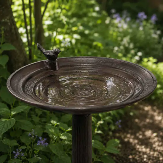 Majestic Bird Bath
