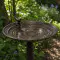 Majestic Bird Bath