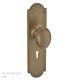 Oval Door Knob on Shaped Backplate
