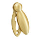 Pear Drop Escutcheon