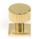 Polished Brass Judd Cabinet Knob on Square Rose