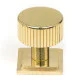 Polished Brass Judd Cabinet Knob on Square Rose