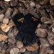 Protective Leather Glove - Kadai