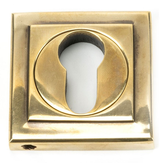 Aged Brass Square Euro Escutcheon