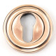 Polished Bronze Art Deco Euro Escutcheon