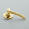 Polished Brass Unlacquered (PBUL)